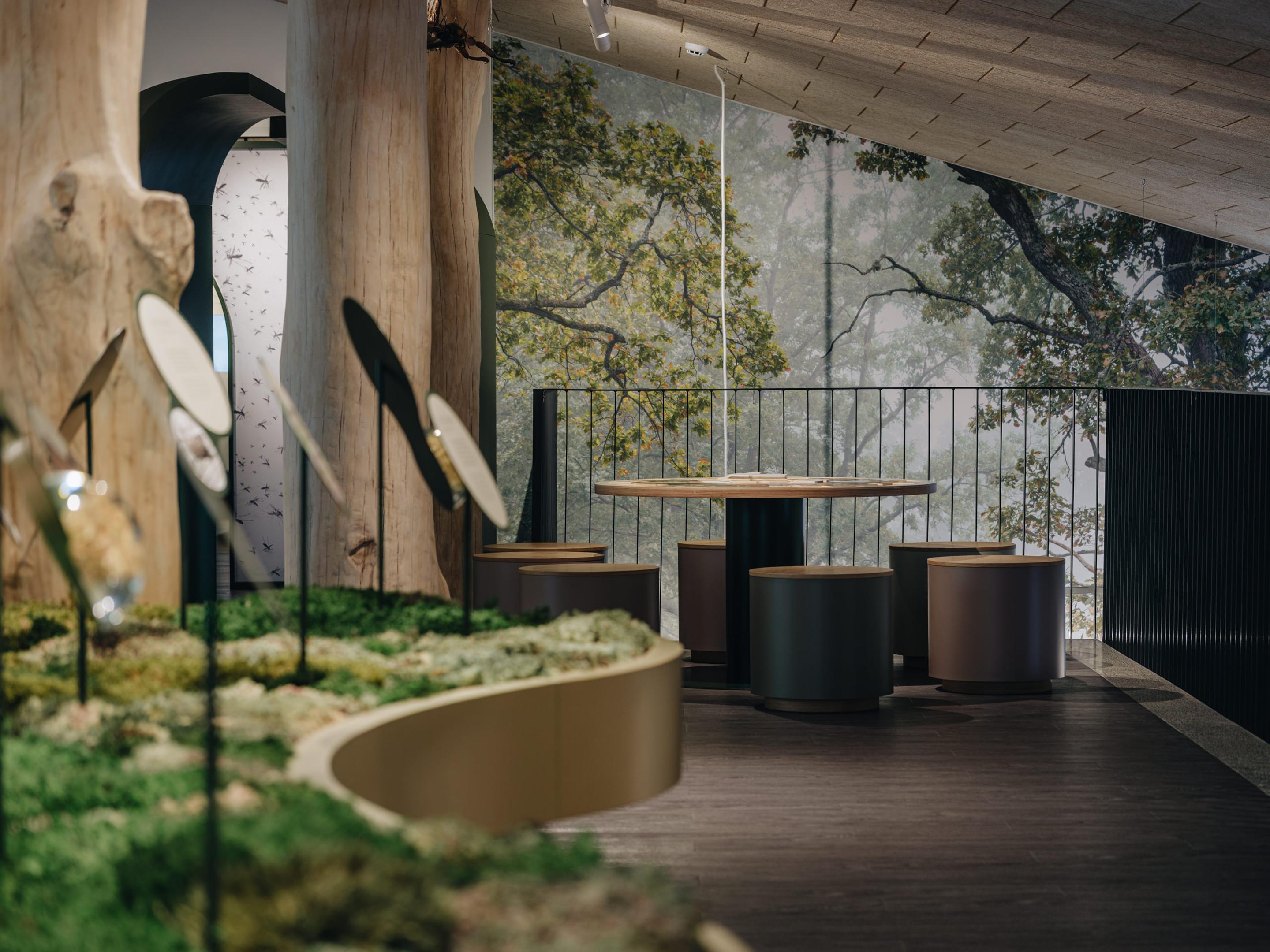 Soomaa külastuskeskus